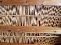 Reed Ceiling