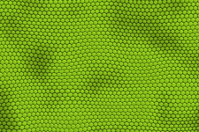 Snake Skin Green Background