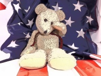 Teddy Bear And Flag