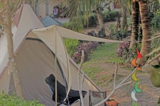 Tent At A Campsite