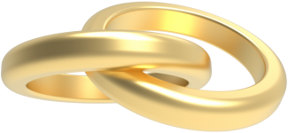 Two Wedding Ring Crossed In Gold