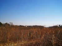 View Over Dry Winter Grassland