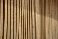 Wood, Background
