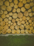 Wooden Logs Background