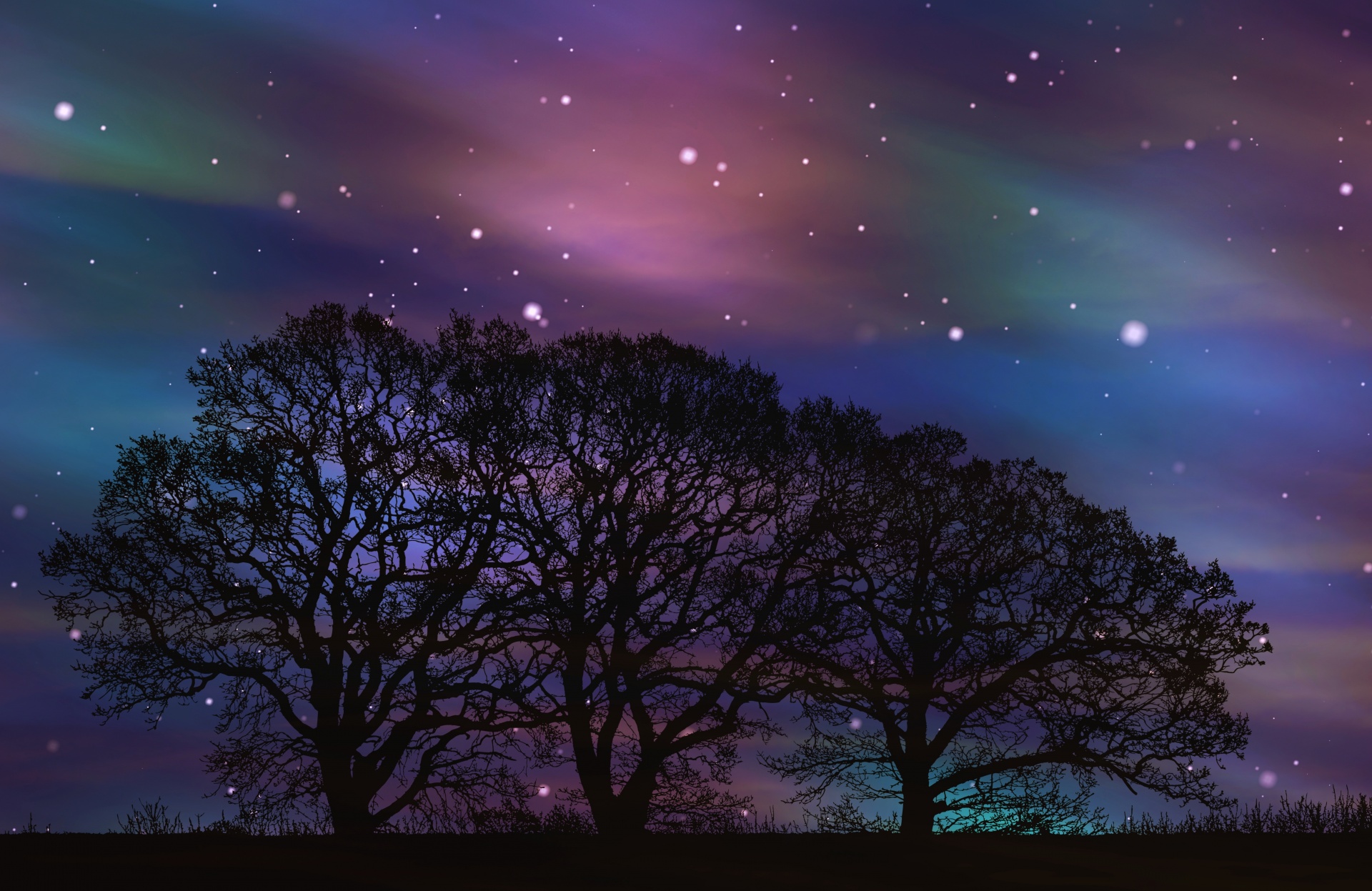 Trees forest silhouette with digital sky stars and aurora borealis