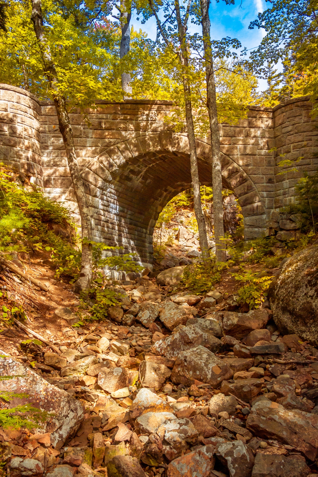 Bridge In Acadia National Park