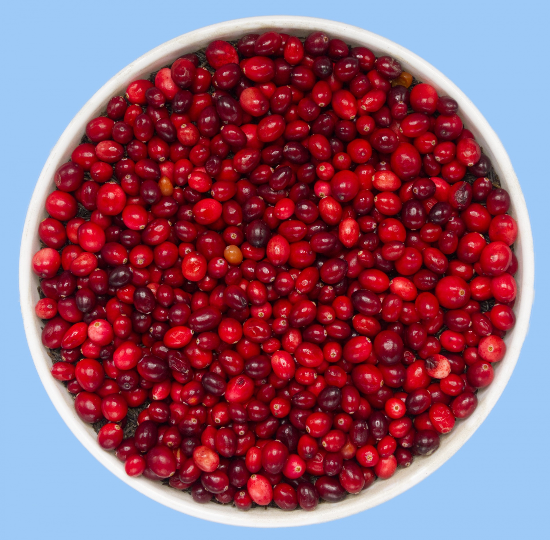 Bucket Of Cranberries