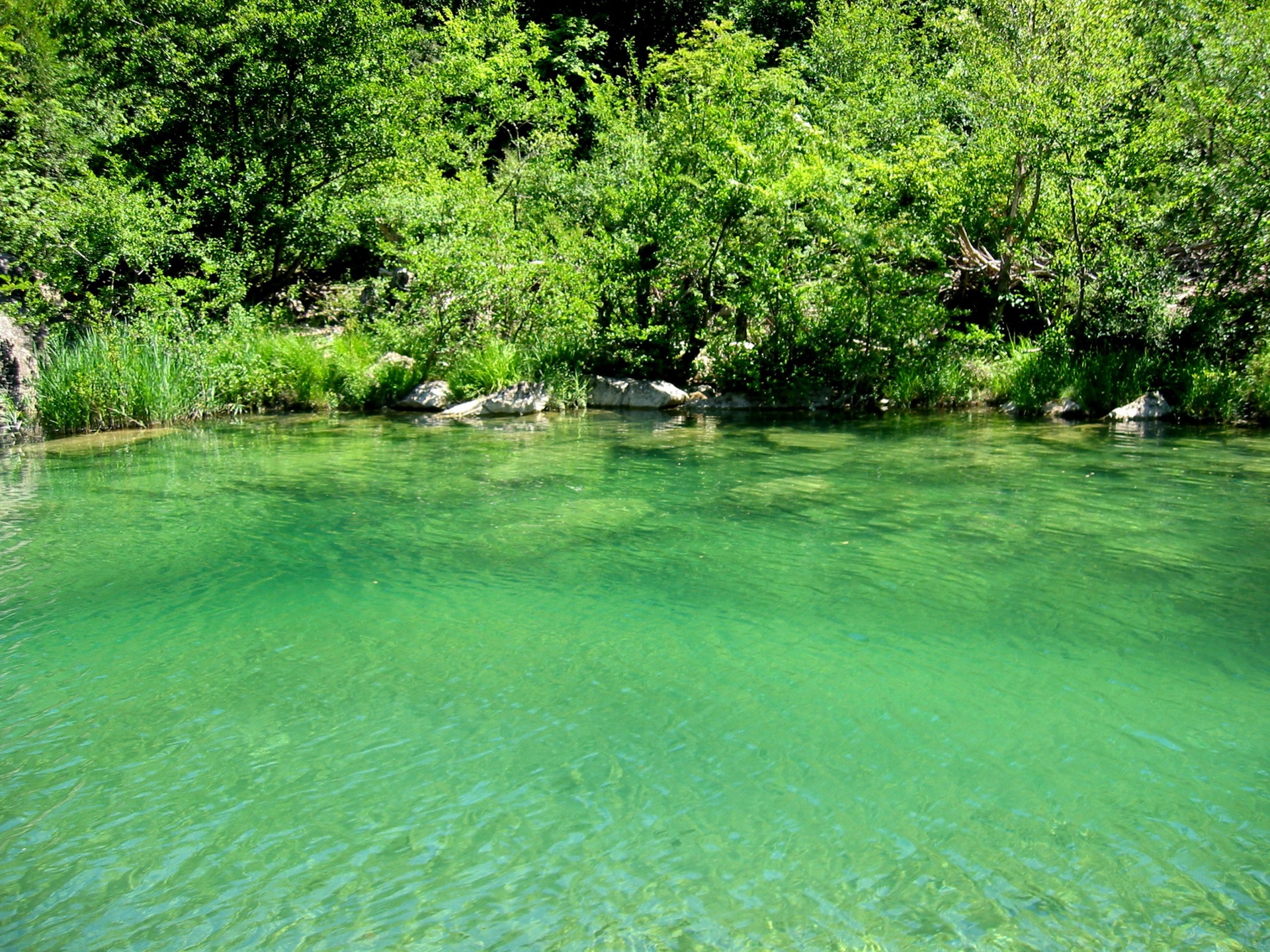 Crystal Clear Green River Pool