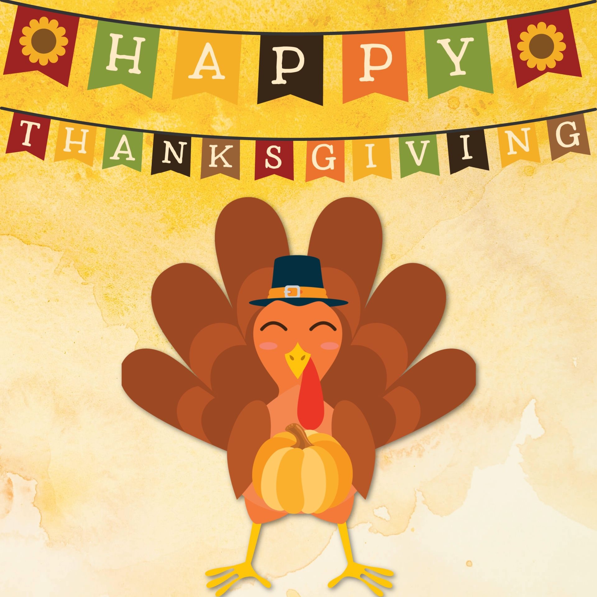 Thanksgiving Turkey Greeting
