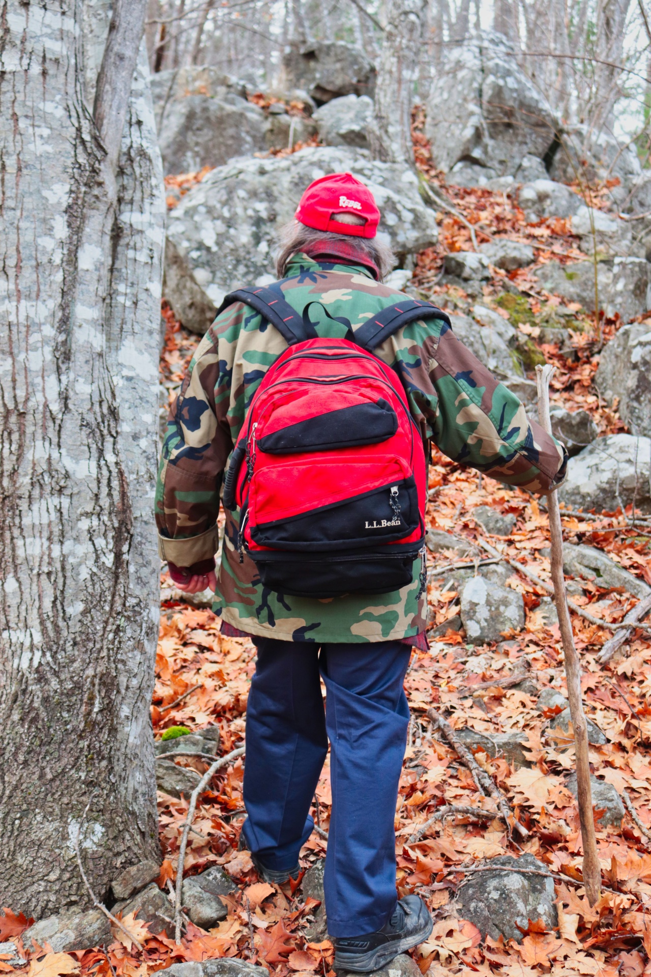 photo of a nature hike with back pack