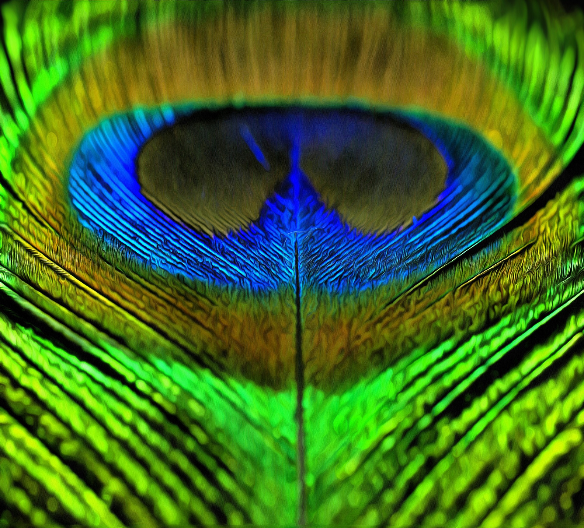 Peacock feather fractal design colorful background photography