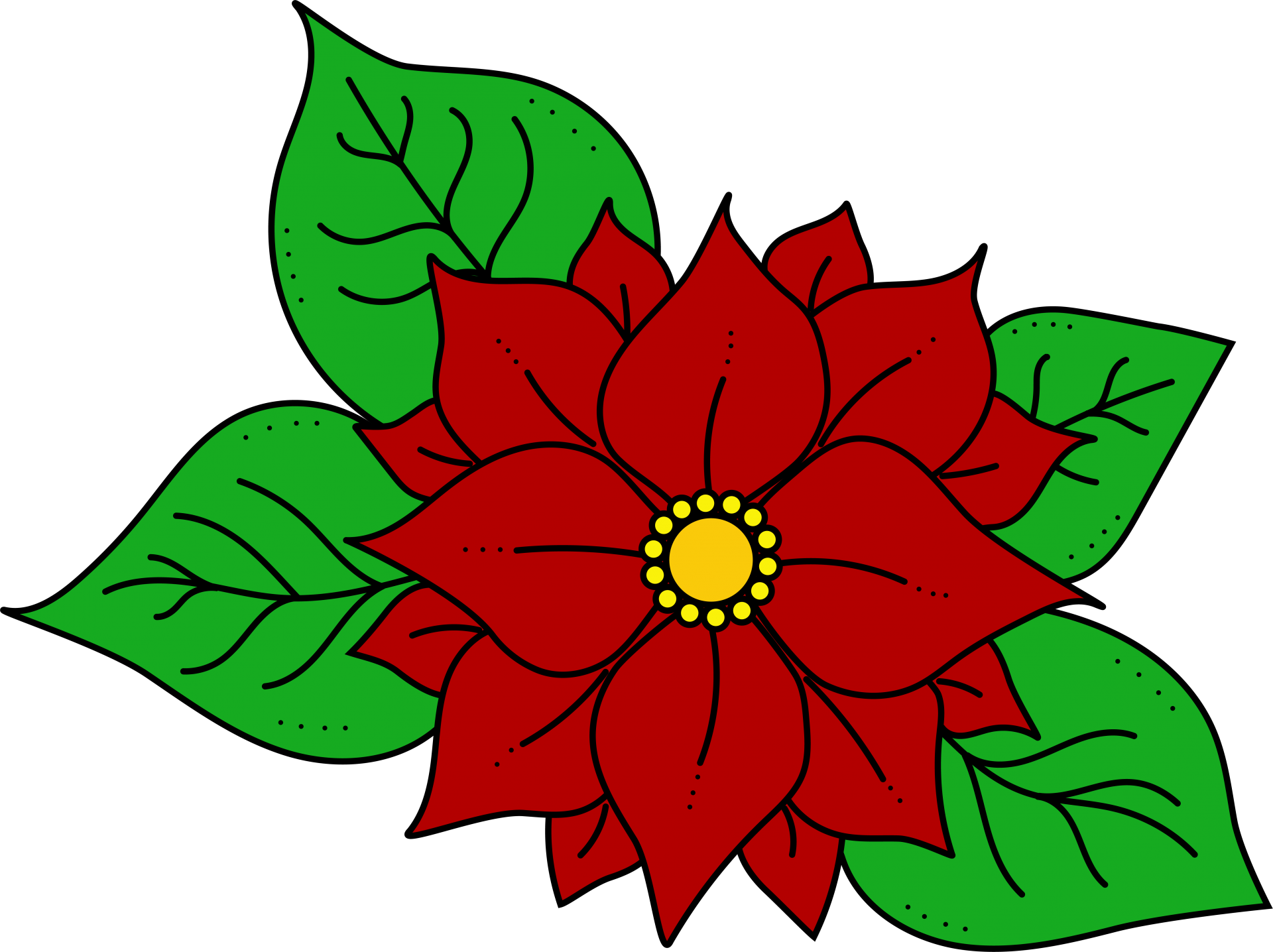 Poinsettia Flower Illustration