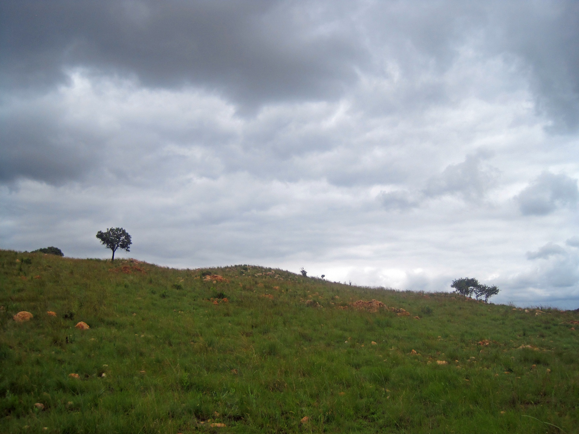 sloping hill under overcast sky in a south african landscape