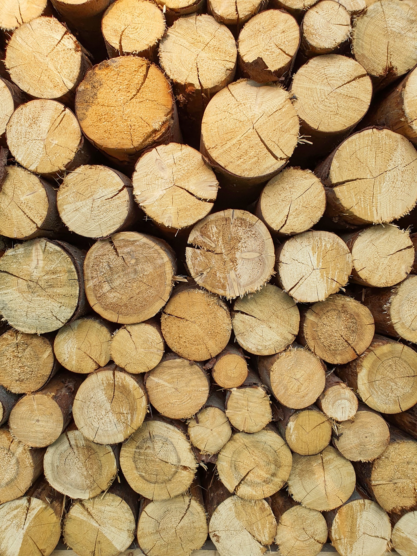 Wooden Logs Background