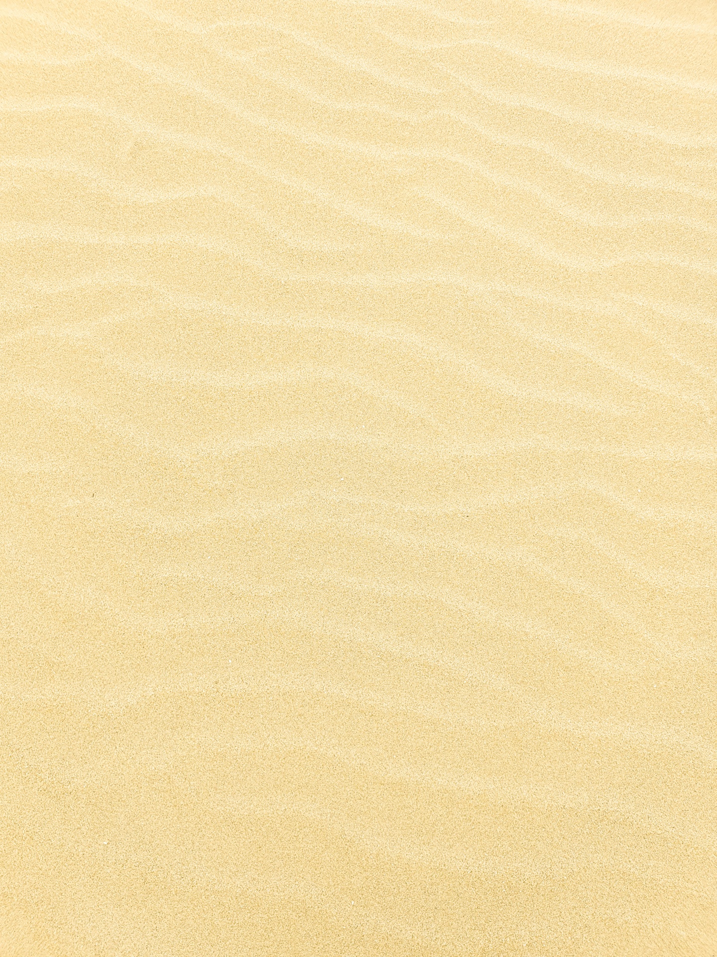 Yellow Sand Background