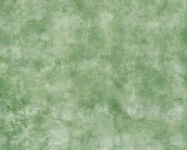 Abstract Background Texture Green
