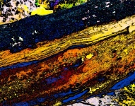 Background Tree Bark Abstract