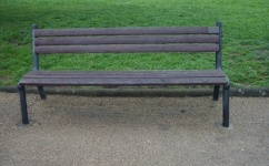 Isolated Public Bench
