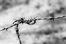 Black And White Barbed Wire