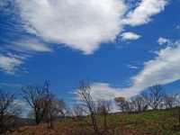 Blue Sky And White Cloud With Hills