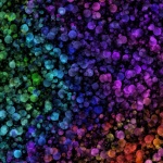 Bokeh Multicolored Background Dots