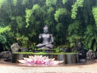 Buddha Statue In Rain