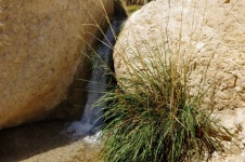 Close-up Of Mountain Water Stream