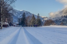 Cross Country Ski Tracks