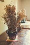 Dry Plants In Ceramic Vase