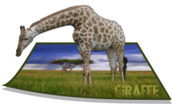 Giraffe 3d Art