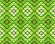 Grid Pattern With Green