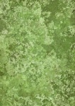 Background Grunge Texture Green