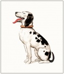 Dog Hunting Dog Dalmatian Vintage