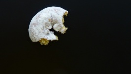 Minimalist Donut