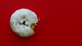 Minimalist Donut Background