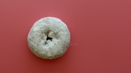 Minimalist Donut Background
