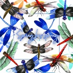Dragonfly Spring Poster