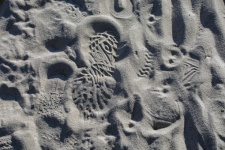 Shoe Prints In The Sand
