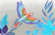 Parrot In Flight Illustration