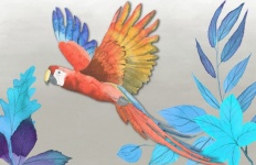 Parrot In Flight Illustration