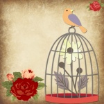 Bird In Birdcage Illustration