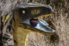 Dinosaur Face