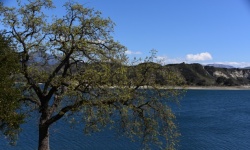 Lake Reservoir Cachuma