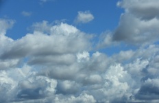 Puffy White Clouds
