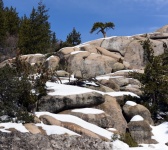 Snow Dusted Boulders
