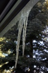 Icicles Of Water