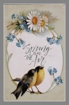 Vintage Spring Birds Illustration
