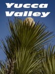 Yucca Valley Poster