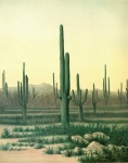 Cactus Desert Landscape Vintage