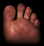 Male Foot